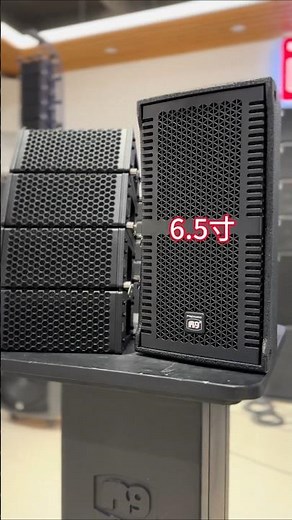Mini Line Array Speaker Installation