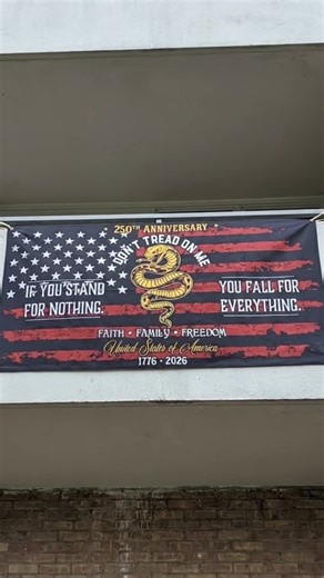 Stand for something 🇺🇸🐍 #donttreadonme #america250 #patrioticdecor #freedomstyle #usa