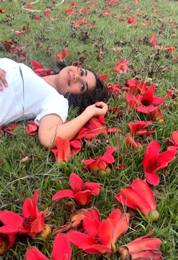 Welcoming Spring with Bold Red Silk Cotton Flowers