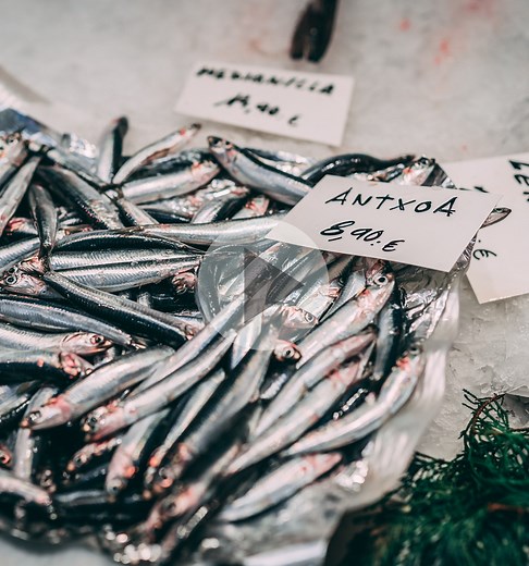 "On The Contrary" or "In Contrast"? — Doris and Bertie Ltd