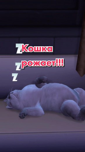 Рождение котят в Симс 4: уникальный геймплей