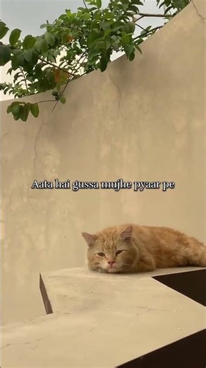 Sanam - Gulabi aankhen (Lyrics) #shorts #gulabiaankhen #sanampuri #lyrics #song #aestheic #song