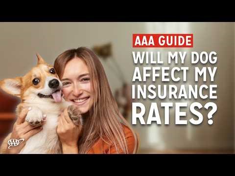 Will My Dog Affect My Insurance Rates?