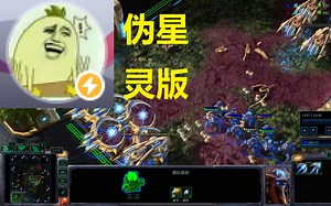 敌人在我家野了光炮，但是风暴战舰会击败一切！【Dogprotoss01】