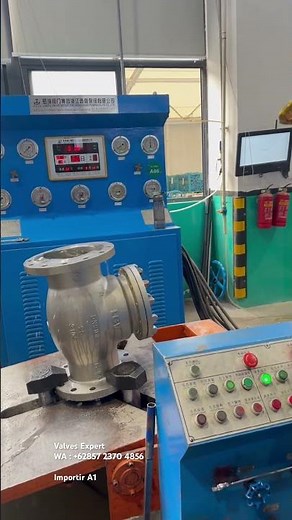 Pressure test swing Check valve API 598