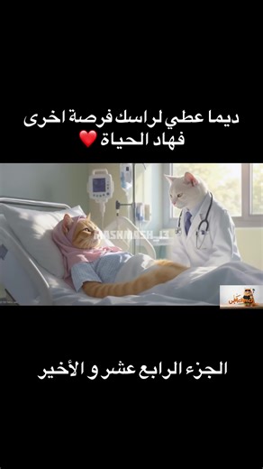 Vlog 206: Mashmash Part 96 - Life Lessons and Cats