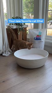 Unlike ordinary litter, PrettyLitter keeps tabs on your cat's health by changing color. Plus, PrettyLitter’s super light crystal formula trap odor and release moisture, resulting in dry, low maintenance litter that doesn’t smell! | PrettyLitter