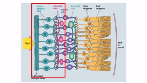 Local Response Normalization (LRN) in Deep Learning Explained