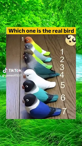 Only 1% genuis can solve the correct answer! #brainteaser #quiztime #uktiktok #viral