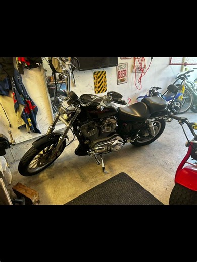 2005 Harley Davidson sportster 883