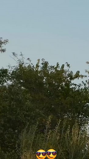 389K views · 14K reactions | Motorcross One of the craziest things I’ve shot this year freestyle do not attempted professional performed only #fbreels #fy #freestyle #my #motorcycle #event | CRF motor | Facebook