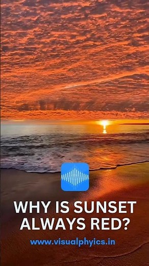 Why is the Sunset Always Red? | Scattering of Light | Visual Physics #sunset #scatteringoflight