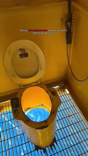 Rare Fish Discoveries in the North Sea