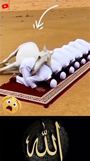 MashAllah 💪🕋😊Respect #allah #muhammad #mecca #madina #moosatv #masjid #Masmediainfo