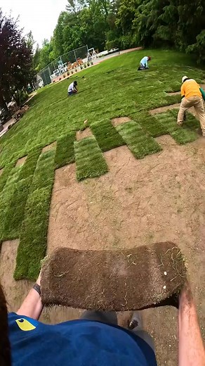 Bermuda- $140 /per pallet St. Augustine- $210/per pallet Zeon Zoysia- $230/per pallet Emerald Zoysia- $230/per pallet Fresh grass from the farm, we cut every day ✅ We cut one day before delivery delivery available throughout the area. send me a message 📍 | Bermuda sod grass for sale