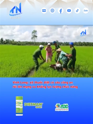 Vĩnh Long: xịt thuốc diệt cỏ vào công an, rồi lên mạng vu khống lực lượng chức năng #64_vinhlong #tayninhnews #tiktoknews #new #mcv