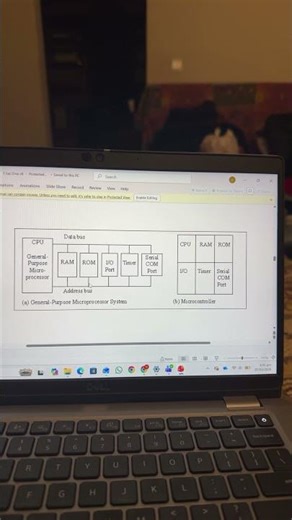 Microprocessor and microcontroller