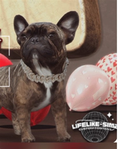 French Bulldog Pet Skin for The Sims 4