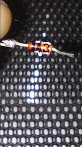 6A3 zener diode (6.3V, 500mV)