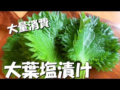 大葉レシピ♪大葉の塩漬けの作り方