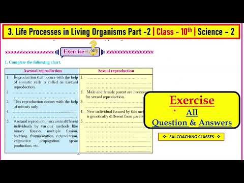 Exercise | 3. Life Processes in Living Organisms Part 2 | Question Answers | class 10th science 2