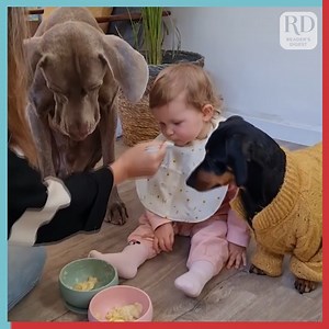 10K views · 171 reactions | How cute is this?!  | Reader's Digest | Facebook