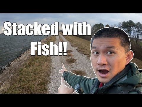 Fishing(and Catching) at Baldwin lake in January.