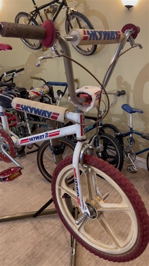 1983 Skyway T/A BMX Bike: Classic One Owner