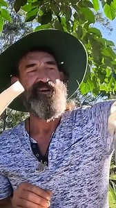 9.4K views · 142 reactions | How to make COMFREY TEA!  #garden #gardening #permaculture #comfrey #growfood | The Weedy Garden | Facebook