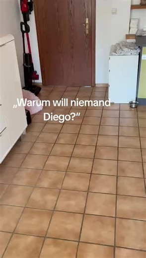 Warum wartet Diego eigentlich noch? Manchmal stellen wir uns im Wuffhaus genau diese Frage. Warum wartet dieser kleine Hund eigentlich noch auf sein Zuhause? Diego ist kein Hund, der sofort perfekt wirkt. Er hat nur ein Auge. Ihm fehlt ein Zahn. Und seine Geschichte beginnt nicht schön: Er lebte mit 47 anderen Hunden in einem Einfamilienhaus, bis sie schließlich beschlagnahmt wurden. Vielleicht schreckt genau das manche Menschen ab. Vielleicht wirkt er auf den ersten Blick „anders“. Aber wer Die