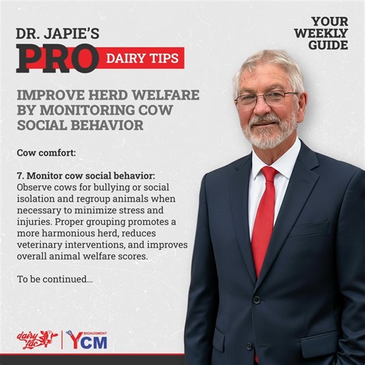 𝗜𝗺𝗽𝗿𝗼𝘃𝗲 𝗛𝗲𝗿𝗱 𝗪𝗲𝗹𝗳𝗮𝗿𝗲 𝗯𝘆 𝗠𝗼𝗻𝗶𝘁𝗼𝗿𝗶𝗻𝗴 𝗖𝗼𝘄 𝗦𝗼𝗰𝗶𝗮𝗹 𝗕𝗲𝗵𝗮𝘃𝗶𝗼𝗿 𝗗𝗿. 𝗝𝗮𝗽𝗶𝗲’𝘀 𝗣𝗿𝗼 𝗗𝗮𝗶𝗿𝘆 𝗧𝗶𝗽𝘀 - Your Weekly Guide Cow comfort: 7. Monitor cow social behavior: Observe cows for bullying or social isolation and regroup animals when necessary to minimize stress and injuries. Proper grouping promotes a more harmonious herd, reduces veterinary interventions, and improves overall animal welfare scores. To be continued… . #ProDairyTips #DrJapie #Da