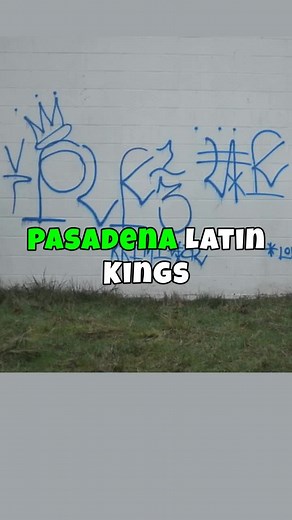 Real Crime Stories Daily on Instagram: "Discover the story behind the Pasadena Latin Kings, a predominantly Mexican-American street gang founded in the late 1980s. Established by Jose Luis “Snapper” Torres-Sanchez, who immigrated from Mexico at age 7, PLK emerged in the northwest section of Pasadena, California, near the Altadena border. Despite facing geographic rivals like the Villa Boys and Varrio Pasadena Rifa, the PLK became a notable force within the community. Tragically, Sanchez's life w