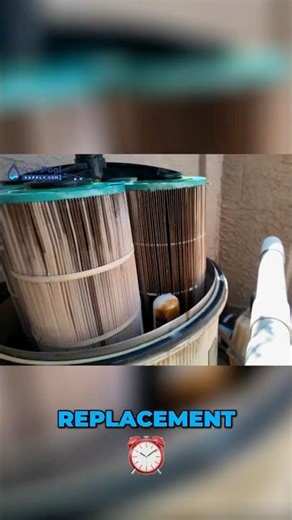 Is Your Pool Filter THIS Dirty?