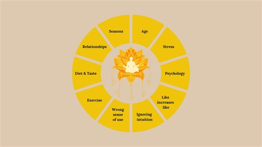 The Wellness Wheel