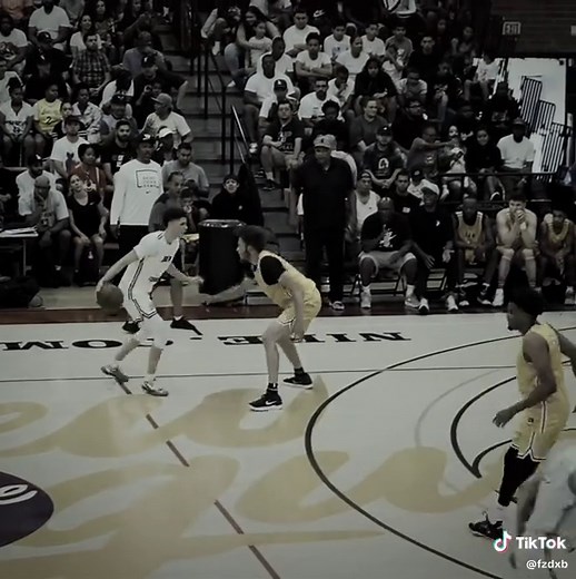 LaMelo Ball Highlights | Stunning Basketball Plays