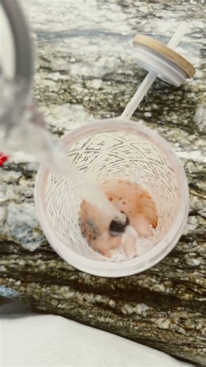 Another flavored drink!!#tutorial#asmr#sprite#drink#skittles