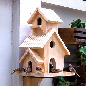 8K views · 148 reactions | I Built an AMAZING Wooden Bird House and Feeder from Scratch! | Woodworking Tools | Facebook