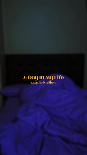 czy.darkwillow on TikTok