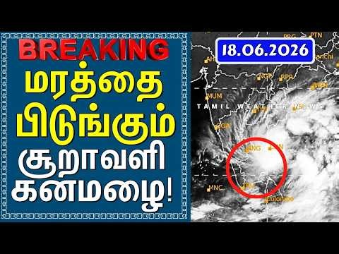 மரத்தை பிடுங்கும் சூறாவளி கனமழை! | Tamil Weather News #tamilweathernews