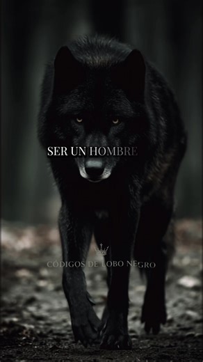 🐺Este mensaje es un fragmento del libro Los 100 Códigos del Lobo Negro. 📘 Disponible en Amazon 📱 Versión virtual en el link de mi perfil. . . . #lobonegro #hombres #valores #mentalidad #fyp