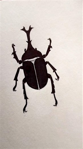 Beetle 🪲 drawing easy #beetle #insect #sketch #drawing #art