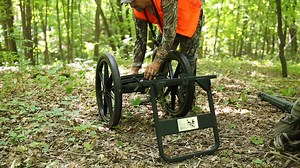 15K views · 92 reactions | The throne is an innovative, multipurpose...