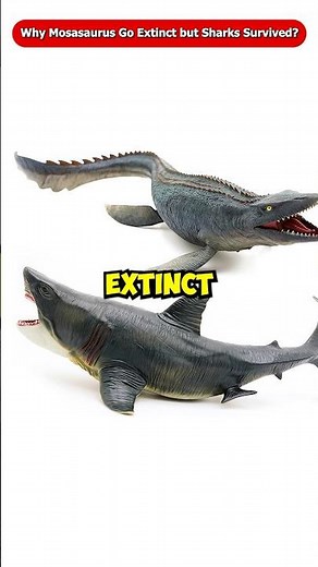 Why Did the Mosasaurus Go Extinct While the Shark Survived? The Dinosaurs Netflix Jurassic world