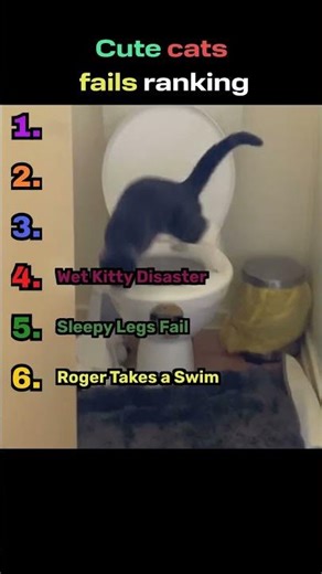 Kitty Fails You’ll Love