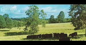 4.7K views · 51 reactions | Cattle producers know first-hand the...