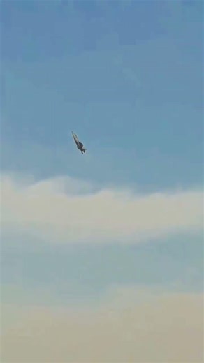 F-35 virtical Moment During 😳 | DUBAI AIRSHOW 2025 #f35 #dubaiairshow #shorts