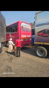 43 reactions · 59 shares | Norton Bulky Fish Wholesale麗 ▪️Bucket $35...