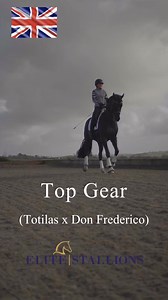 2.7K views · 60 reactions | 6 Incredible Stallions ALL Pay on...