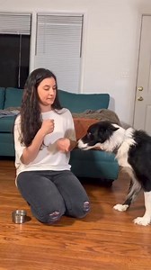 Dog trick training! These are the steps I use to teach tell a secret. #dogtricks #tricktraining #smartdog | Thinking Canine