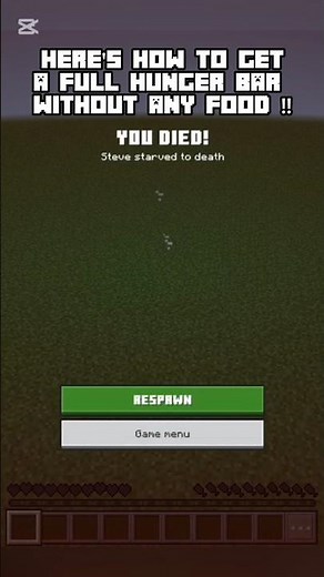 Full hunger bar WITHOUT food in minecraft ?!